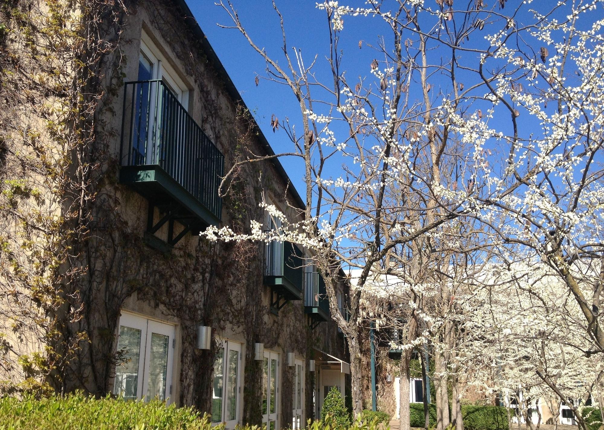 Southbridge Napa Valley セントヘレナ エクステリア 写真