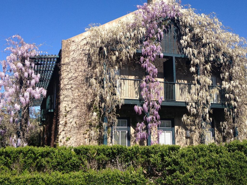 Southbridge Napa Valley セントヘレナ エクステリア 写真